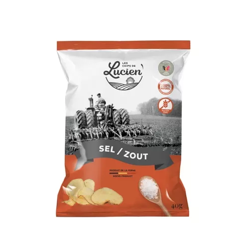 Chips au Sel 40 g